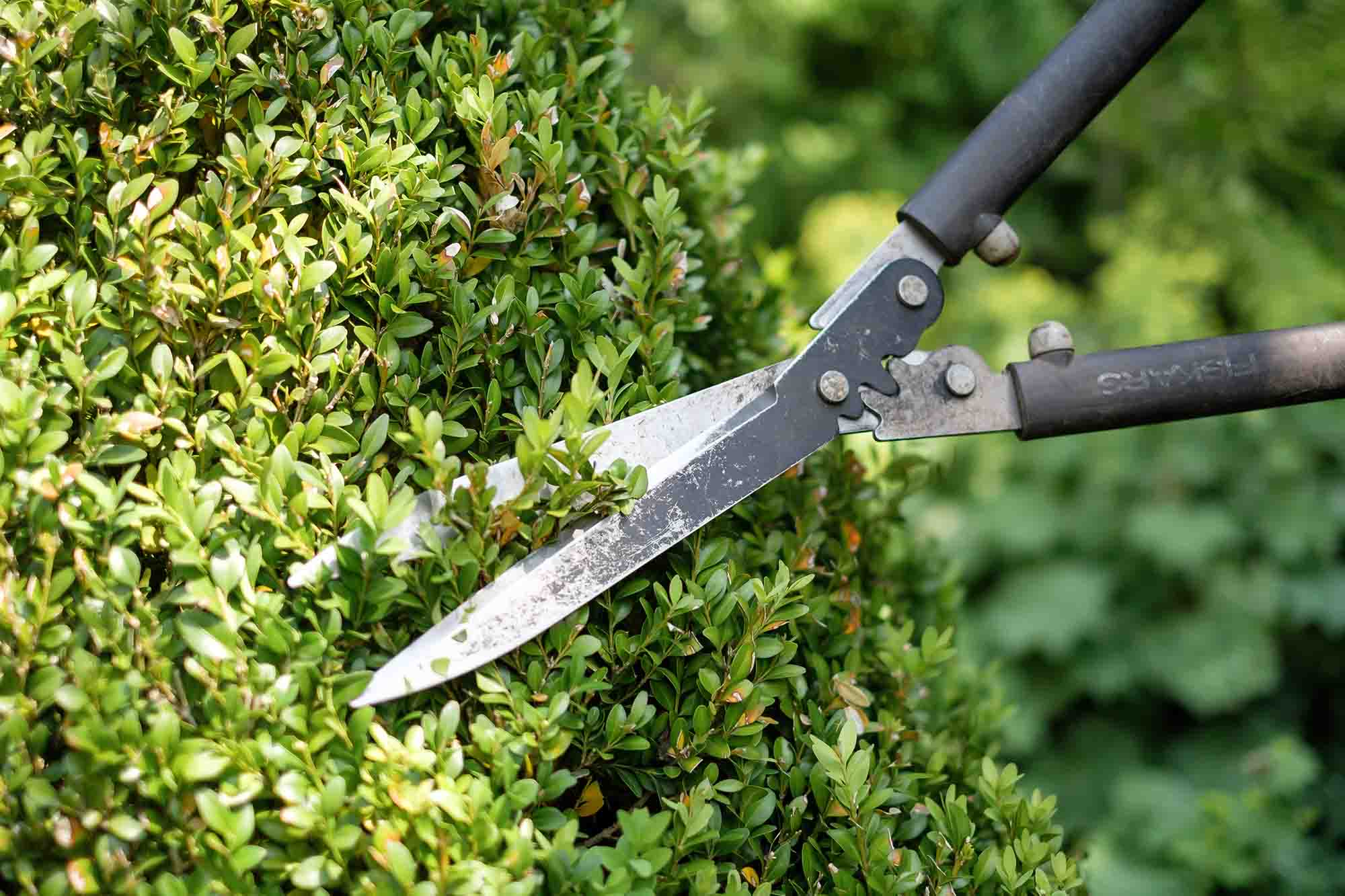 Grünpflege Ludwigsfelde